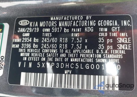 2020 Kia Telluride Ex from USA, damaged, VIN 5XYP3DHC5LG001820